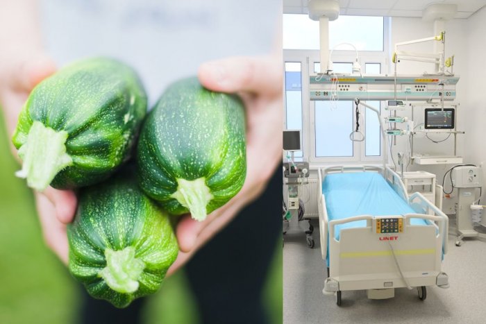 Ilustračný obrázok k článku Boj o ŽIVOT po zjedení CUKETY: Stanka si na nej chcela pochutiť, skončila na JIS!