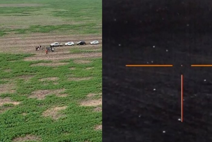 Ilustračný obrázok k článku V Cíferi sa stretli poľnohospodári: Obávajú sa KALAMITY! Toto zviera im ničí úrodu