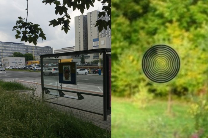 Ilustračný obrázok k článku Na autobusových zastávkach v Košiciach pribudnú samolepky: Majú chrániť vtákov pred NÁRAZMI