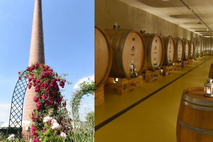 Ilustračný obrázok k článku TIP na víkend: V Dolnej Krupej sa bude konať jesenné Medobranie