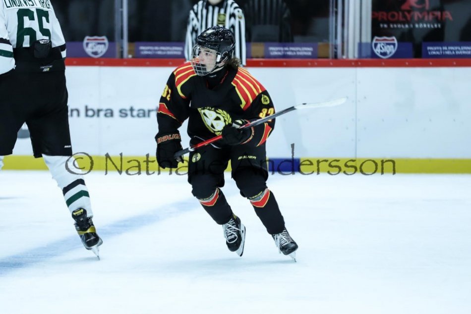 Ilustračný obrázok k článku Najvyššie umiestnený Slovák vo Future draft USHL