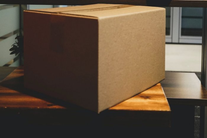 Ilustračný obrázok k článku Myslela, že sa jej sníva: Sofia zažila ŠOK po otvorení balíka z obľúbeného čínskeho e-shopu!