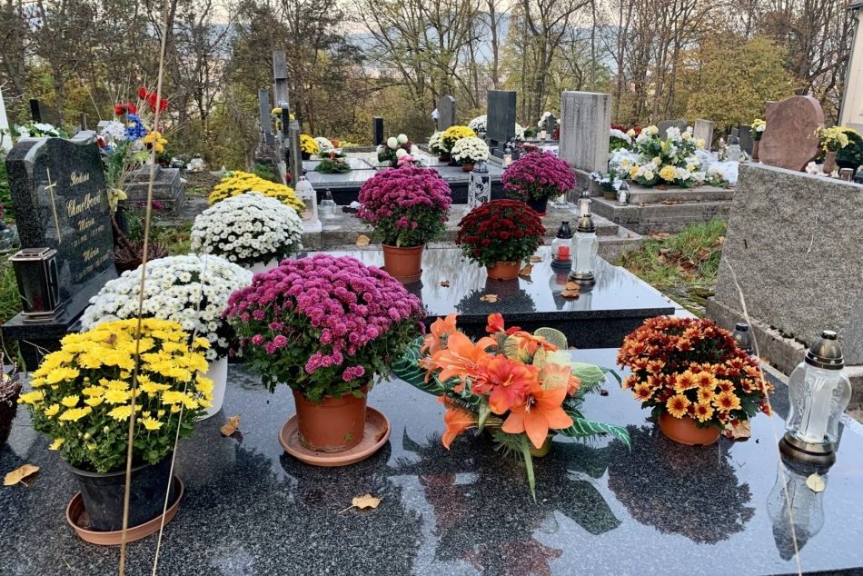 Ilustračný obrázok k článku Bystrica VYZVALA ľudí pred DUŠIČKAMI: Siahnime radšej po živých kvetoch a dekoráciách