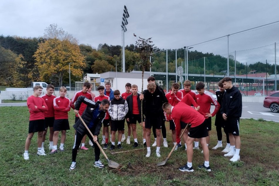 Ilustračný obrázok k článku V Bystrici VYSADILI desiatky stromov a drevín: Pomáhali aj mladí futbalisti, FOTO