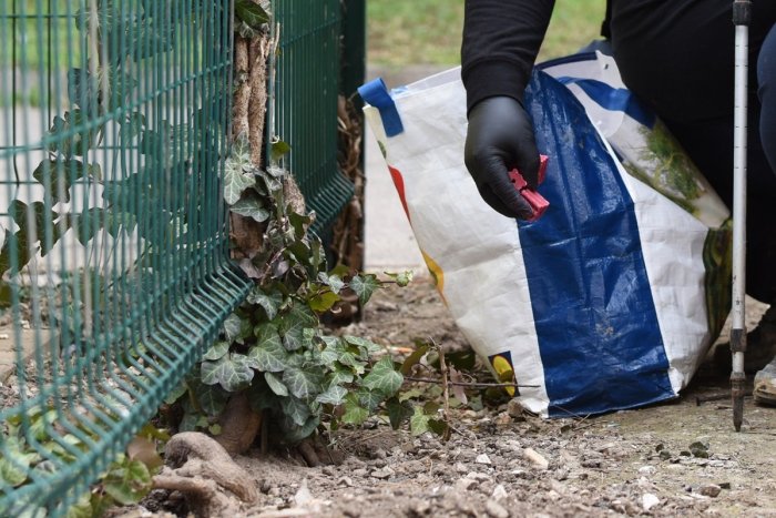 Ilustračný obrázok k článku V Košiciach začína jesenná deratizácia: TOTO odporúčajú obyvateľom