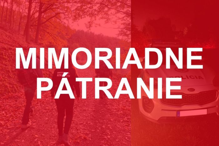 Ilustračný obrázok k článku Veľké PÁTRANIE: Syn bol na prechádzke v lese so svojou mamou, ZMIZLA bez stopy!