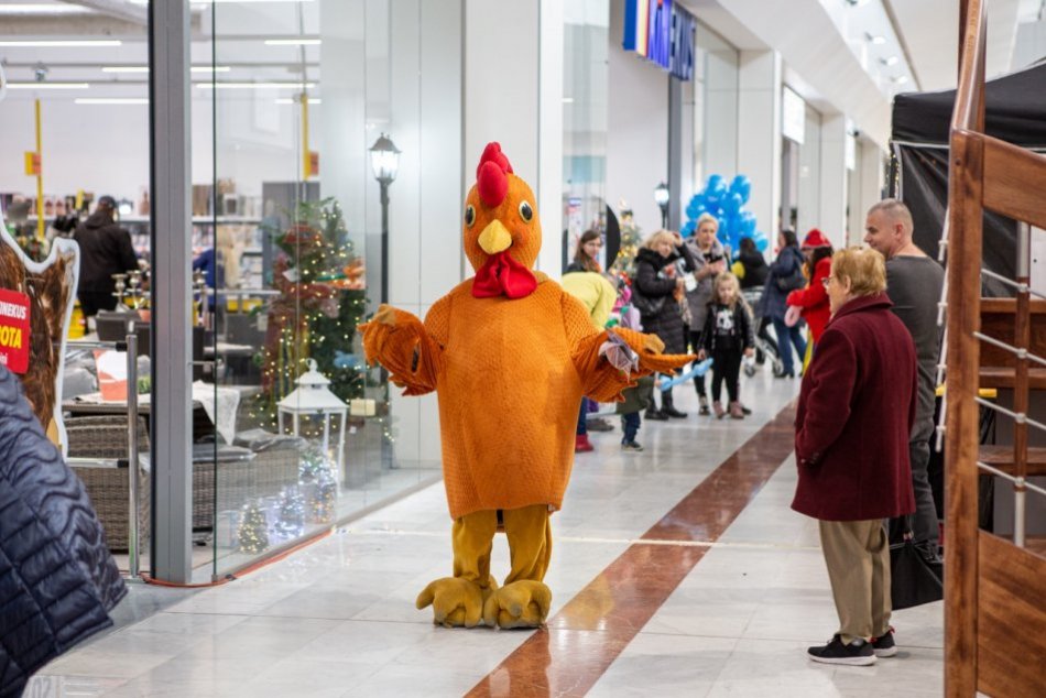 Ilustračný obrázok k článku Výherný deň Kinekus Košice - to sú darčeky, zábava a program pre celú rodinu!