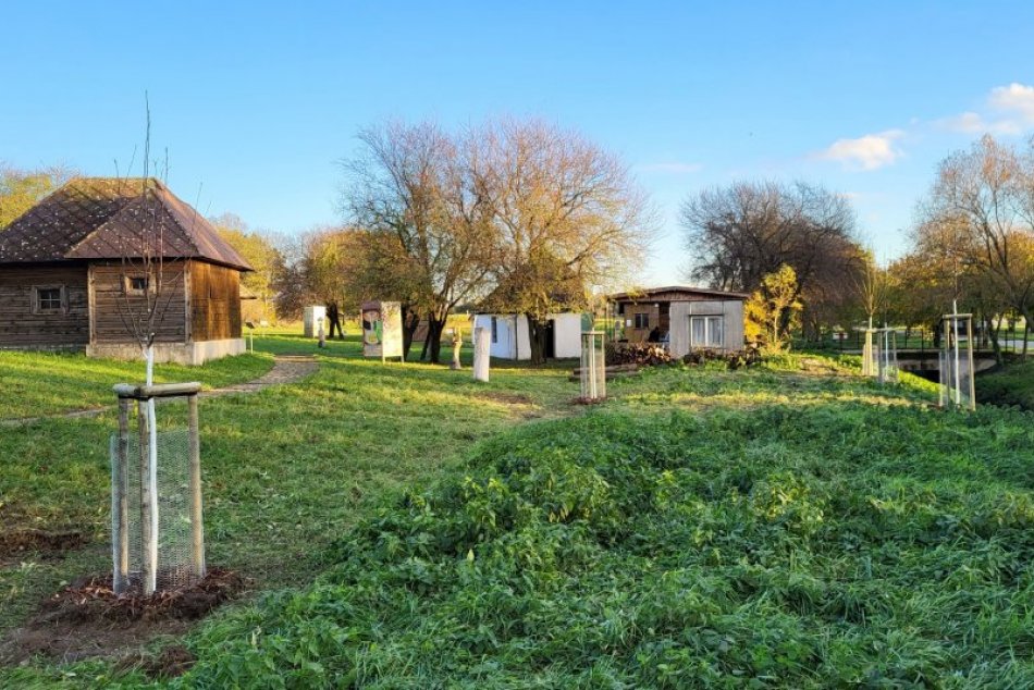 Ilustračný obrázok k článku Vo včelárskom skanzene v Nitre vysadili nové stromy: Doplnili areál náučného chodníka