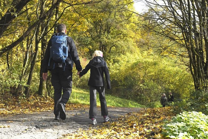 Ilustračný obrázok k článku NOVINKA pre turistov: V areáli starej školy otvorili UBYTOVŇU, čím je ŠPECIÁLNA?