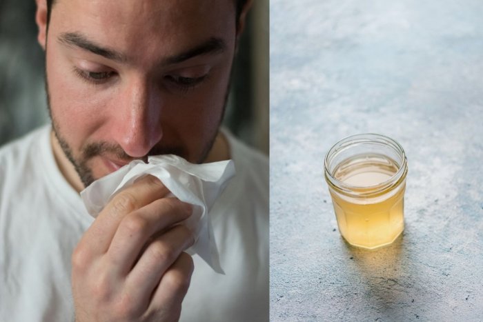 Ilustračný obrázok k článku Prírodný liek proti prechladnutiu stojí v lekárni riadnu pálku: RECEPT, ako si ho vyrobiť doma