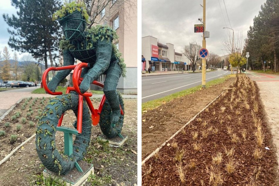 Ilustračný obrázok k článku Metropola Horehronia čelí ZMENE klímy: Vysadila už 14 mestských lúk. FOTO