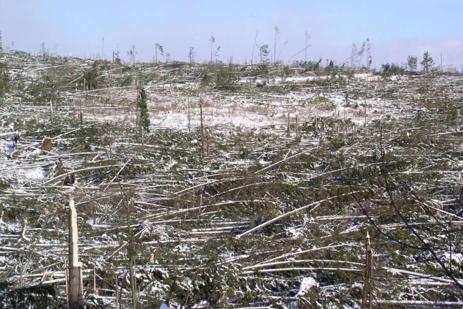 Ilustračný obrázok k článku Na tú skazu sa nedá zabudnúť: Od ničivej víchrice v Tatrách uplynulo 19 rokov, FOTO