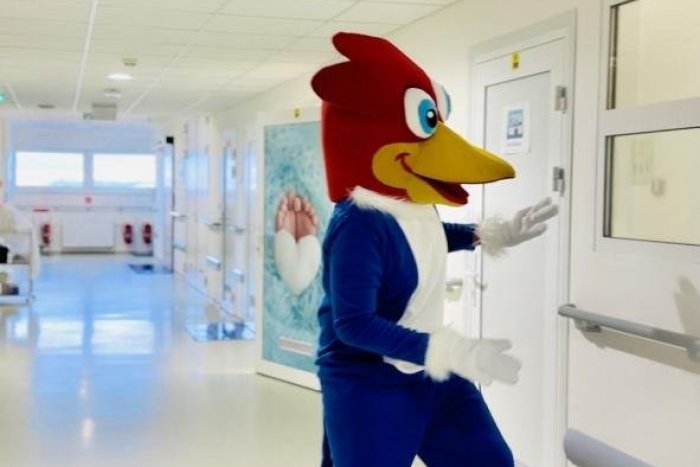 Ilustračný obrázok k článku Maskot popradskej nemocnice už má svoje meno: Ako ho ľudia napokon môžu volať?