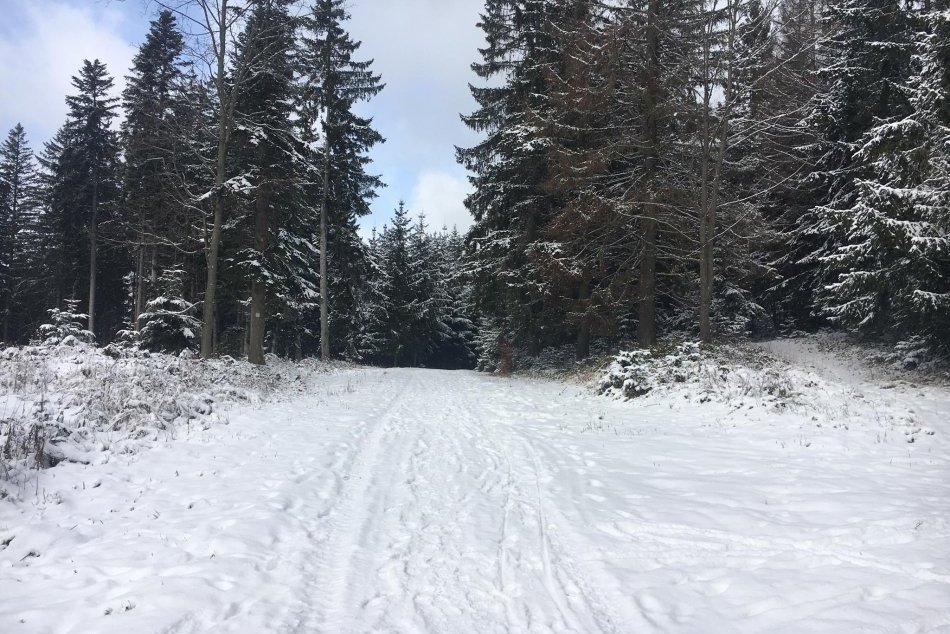 Ilustračný obrázok k článku Bežkárske trate nad Bystricou sú na ZIMU pripravené: Kedy sa začne s úpravou? FOTO