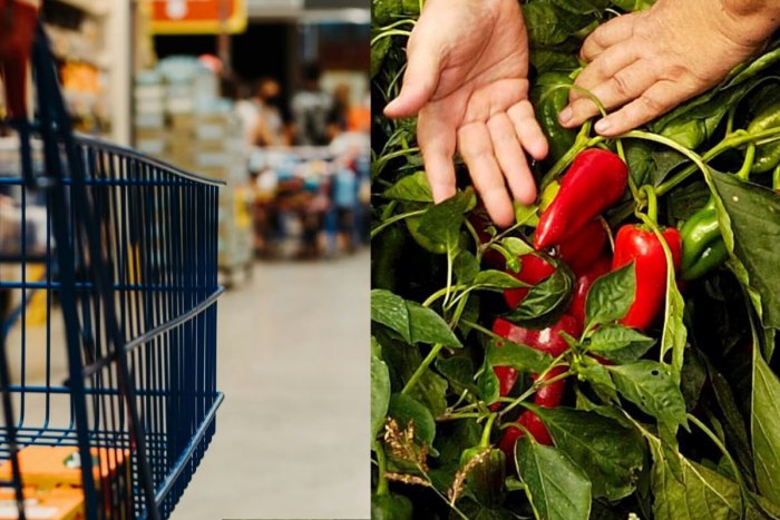 Ilustračný obrázok k článku Pestovatelia bojujú s obrovským PROBLÉMOM: Slovenský unikát môže ZANIKNÚŤ!