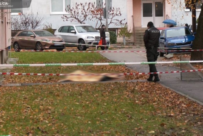 Ilustračný obrázok k článku Rodinná tragédia v Šali: Vyšetrovateľ začal trestné stíhanie za obzvlášť závažný zločin vraždy