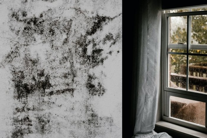 Ilustračný obrázok k článku Nebezpečné PLESNE môžu vzniknúť aj u vás doma! Šikovný TRIK, vďaka ktorému tomu zabránite