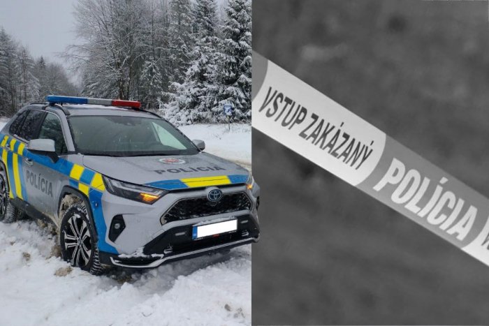 Ilustračný obrázok k článku Policajti vyšetrujú ZÁHADNÚ smrť: V pivnici domu mali nájsť zakopané TELO ženy!