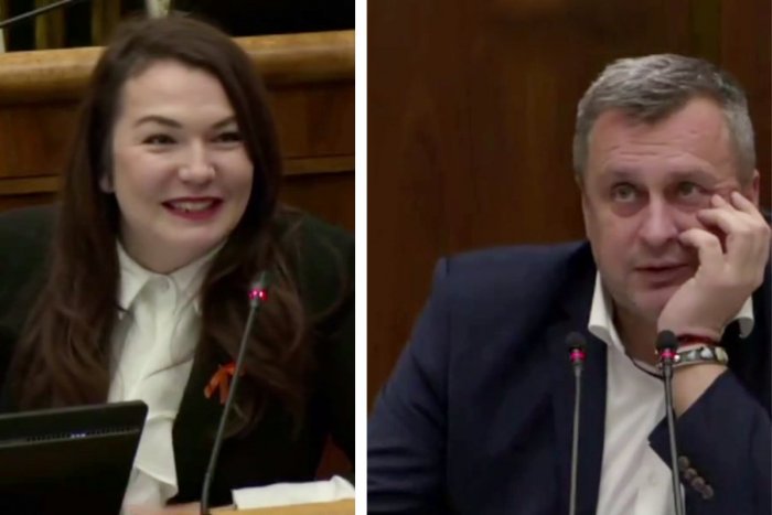 Ilustračný obrázok k článku Andrej Danko si poslankyňu mýli s MUŽOM: "Ty K***T," povzdychol si do mikrofónu