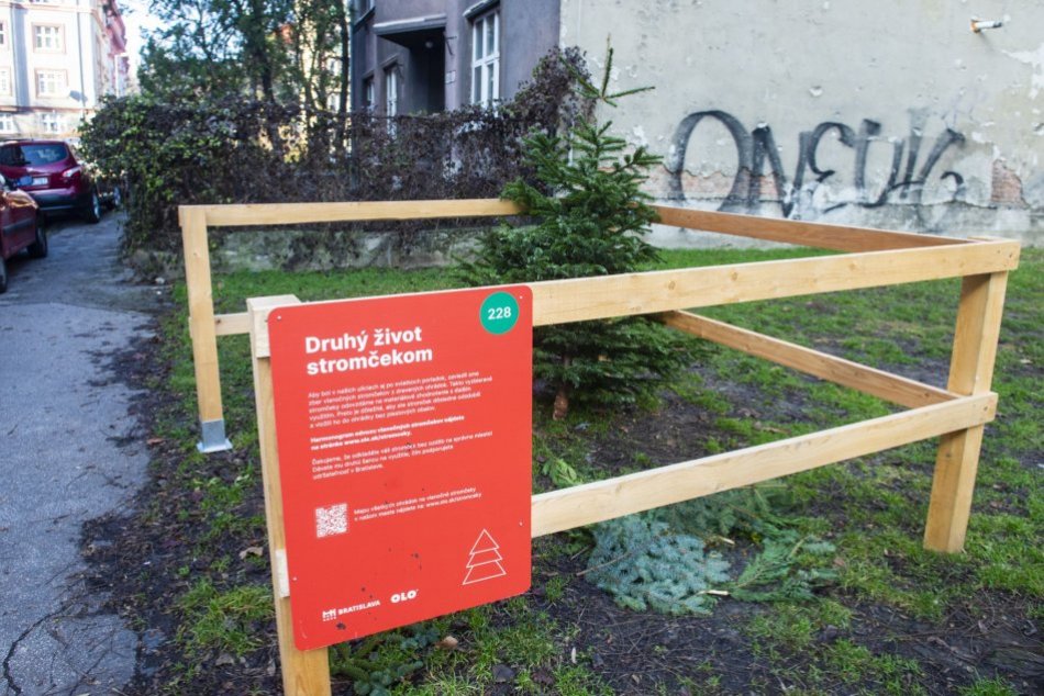 Ilustračný obrázok k článku Čo so starým vianočným stromčekom? V Bratislave sa začal ich odvoz z drevených ohrádok