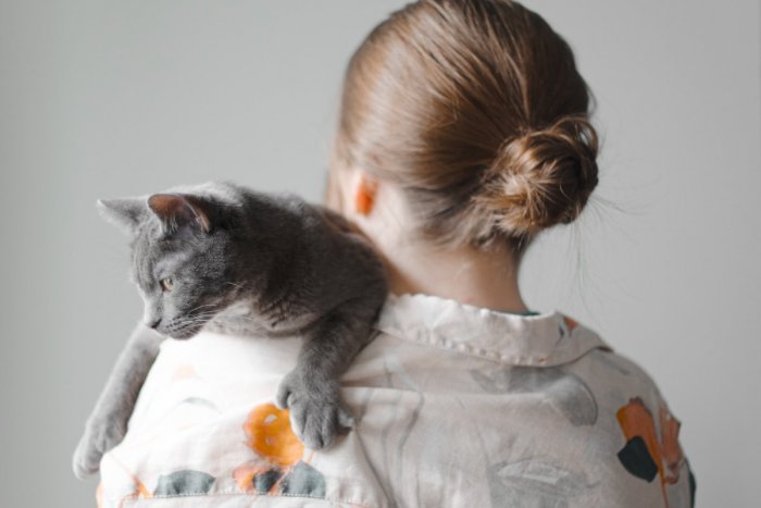 Ilustračný obrázok k článku Máte doma mačku? Podľa vedcov to zvyšuje riziko vypuknutia TEJTO duševnej poruchy!