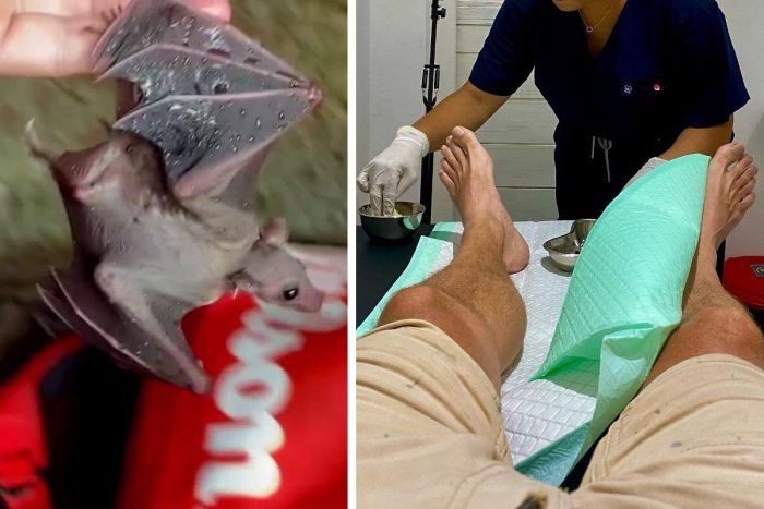 Ilustračný obrázok k článku BOJ o život uznávaného slovenského fotografa: V jaskyni ho pohrýzli nakazené NETOPIERE!