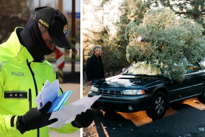 Ilustračný obrázok k článku Pôjdete si kúpiť vianočný stromček? Nezabúdajte! Jeho preprava má svoje PRAVIDLÁ