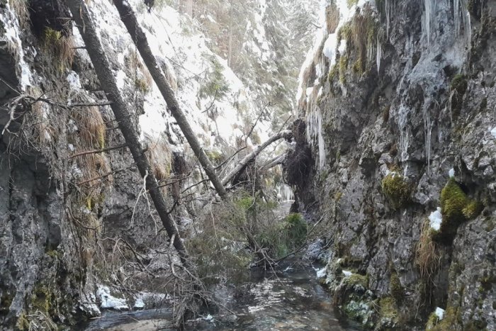 Ilustračný obrázok k článku Dolinu v Slovenskom raji UZAVRELI: Zosunul sa tam celý svah aj s turistickým chodníkom!