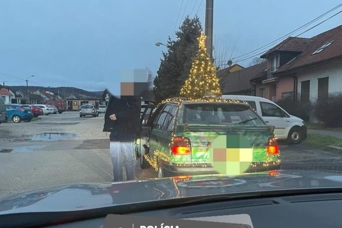 Ilustračný obrázok k článku KURIOZITA DŇA: Bratislavskí policajti ŽASLI nad stromčekom na KOLESÁCH! Ako dopadol vodič?