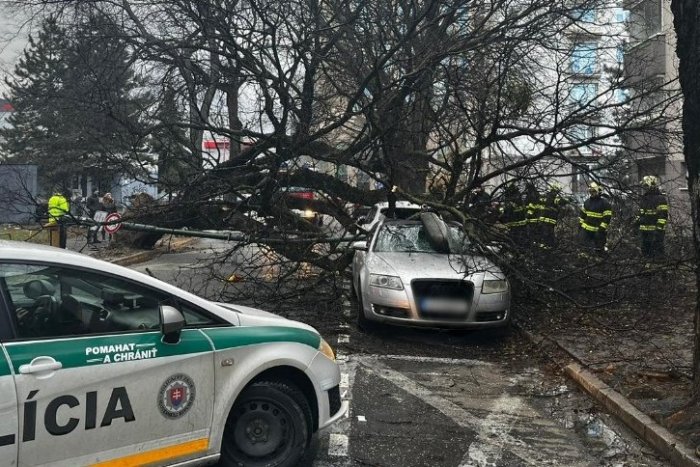 Ilustračný obrázok k článku Počasie ukáže svoju SILU aj na Slovensku: Rúti sa na nás víchrica WENCKE!