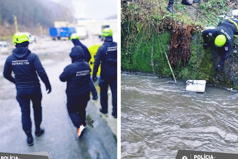 Ilustračný obrázok k článku Veľké PÁTRANIE v srdci Slovenska: Ženu hľadajú dobrovoľníci aj špeciálne vycvičený pes, FOTO