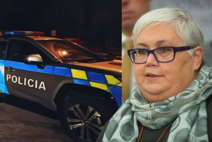 Ilustračný obrázok k článku Exposlankyňa o ZAVRAŽDENEJ Patrícii: Robila mi zo života PEKLO, bola chorá alkoholička!