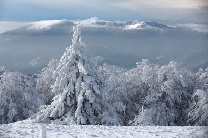 Ilustračný obrázok k článku V Škandinávii zažívajú teplotné ŠOKY! V priebehu pár dní sa oteplilo o 50 stupňov