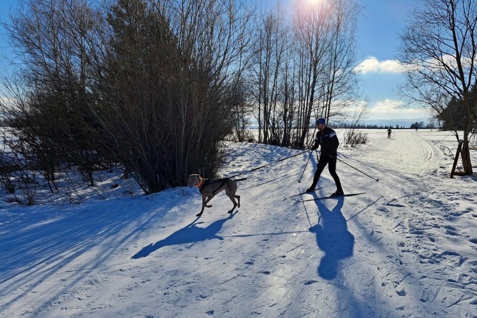 Ilustračný obrázok k článku Čo tam pribudlo? Podmienky v Tatrách sa stále menia, TANAP turistom uľahčil orientáciu