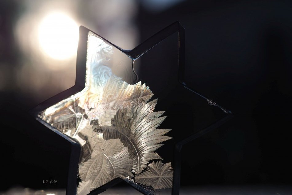 Ilustračný obrázok k článku Lucia fotí UNIKÁTNE diela zimy: MRAZY doslova dostala do formy, FOTO