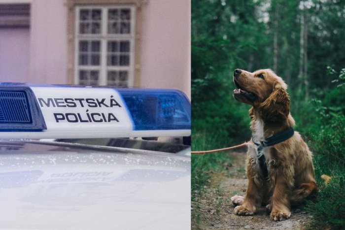 Ilustračný obrázok k článku Nenechajte sa ODBIŤ! Ak vám polícia v TAKOMTO prípade nepomôže, poruší zákon