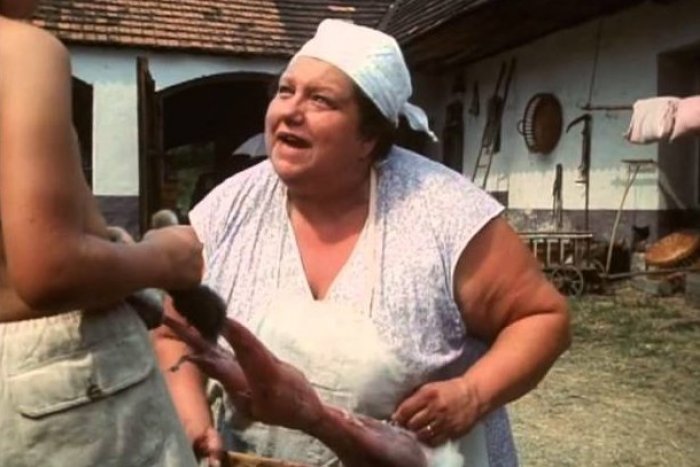 Ilustračný obrázok k článku Kamarátka odhalila PIKANTNÉ tajomstvo Heleny Růžičkovej: Herečke nechýbal SEXUÁLNY apetít!