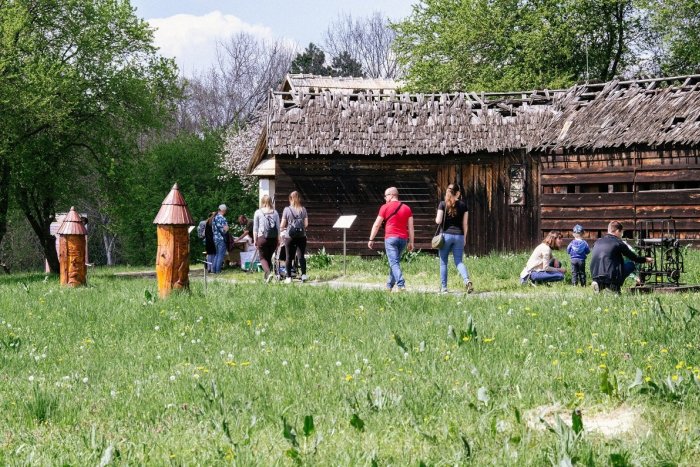 Ilustračný obrázok k článku Včelári v Nitre chcú vzdelávať deti: Pripravujú rozšírenie včelnice a náučného chodníka