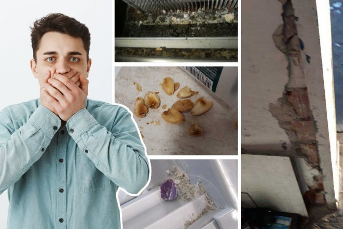 Ilustračný obrázok k článku HNUS, čo objavili pri kontrole prevádzok! Inšpektori našli plesne aj EXKREMENTY