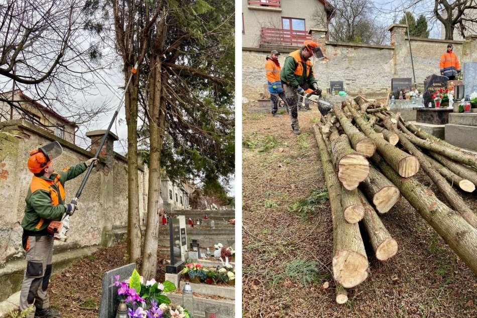 Ilustračný obrázok k článku Na Horehroní VYRÚBU desiatky stromov: Žiadosti prišli hlavne od obyvateľov, FOTO