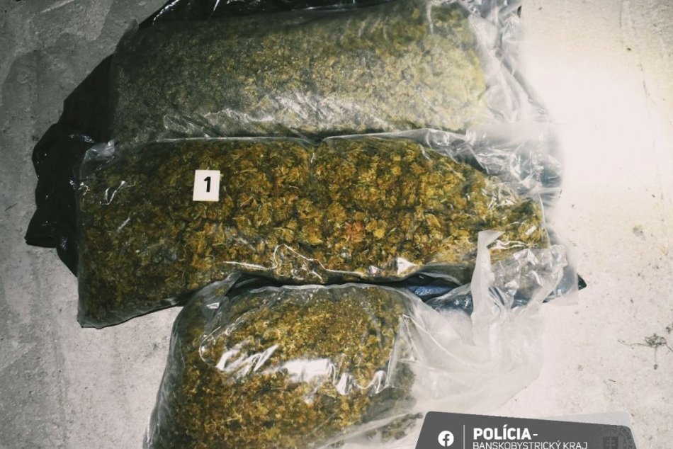 Ilustračný obrázok k článku OBROVSKÝ úlovok, policajti zaistili až 5 kg MARIHUANY: Mladíkovi HROZÍ až 15 rokov, FOTO