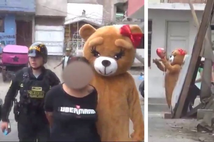 Ilustračný obrázok k článku Policajt sa prezliekol za plyšového MEDVEĎA: Vylákal a zatkol drogovú dílerku, VIDEO