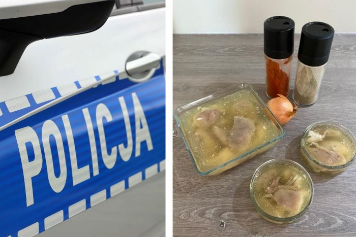 Ilustračný obrázok k článku Ďalší poľský potravinový ŠKANDÁL! Po zjedení huspeniny ZOMREL muž, ženy sú v kritickom stave