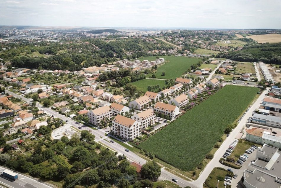 Ilustračný obrázok k článku Kynek rastie, rozjasní ho Slnečná pláň