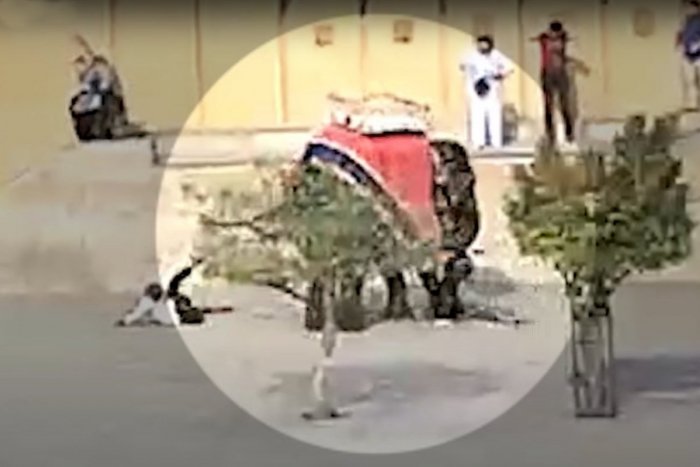 Ilustračný obrázok k článku Slonica NAPADLA turistku a TRESLA s ňou o zem: VIDEO len pre silné žalúdky!