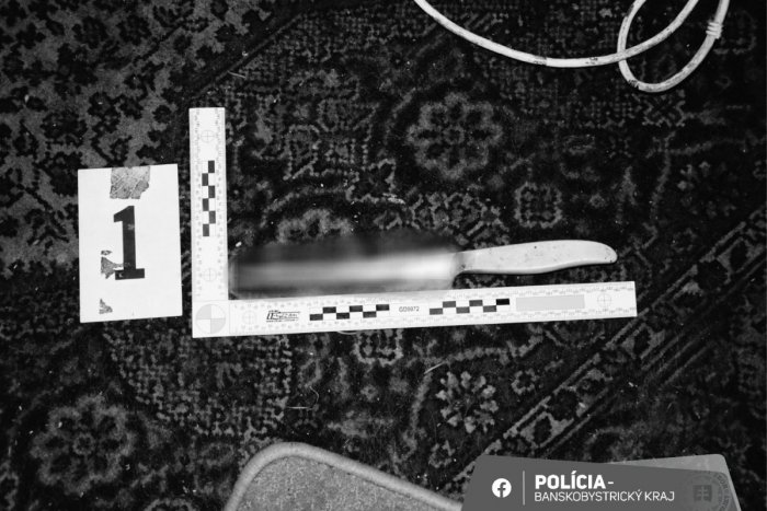 Ilustračný obrázok k článku Krvavá DRÁMA na juhu Slovenska: Imobilná žena nožom VÁŽNE zranila muža