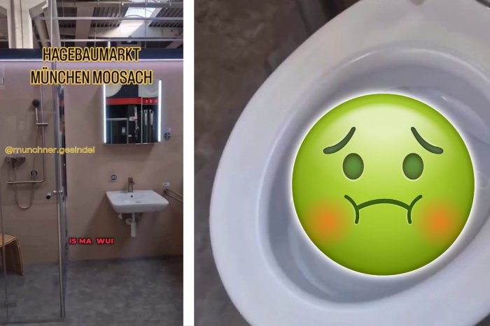 Ilustračný obrázok k článku NECHUTNÉ! Zákazník sa VYPRÁZDNIL do záchodovej misy vystavenej v obchode