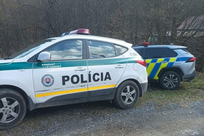 Ilustračný obrázok k článku ŠIALENÝ prípad zo Slovenska: Ľudmila NÚTILA druha k sexu! Keď odmietol, BILA ho tyčou