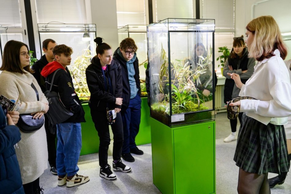 Ilustračný obrázok k článku Vo viváriu v Nitre otvorili nové priestory: Domov tu našli chameleóni aj varan