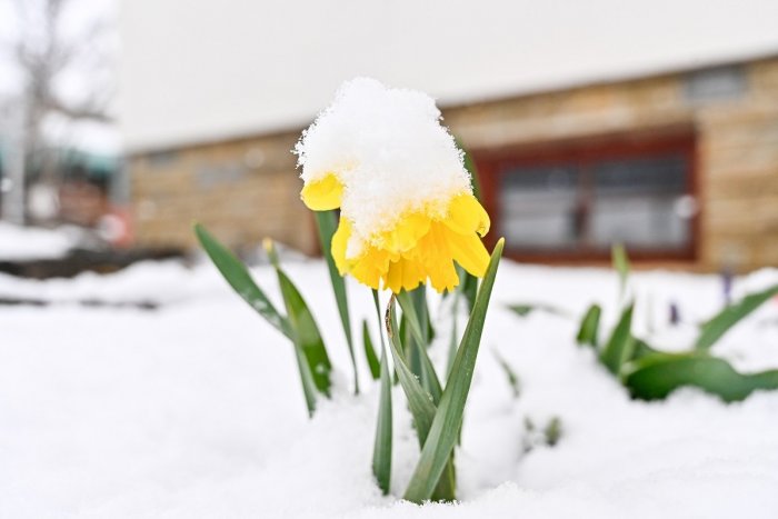 Ilustračný obrázok k článku Ochladenie je za dverami: Priniesť má výrazné mrazy aj SNEŽENIE